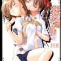 とある乙女の攻略方法