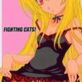 FIGHTING CATS!