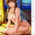 ハレンチバケーション