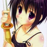 セイギノミカタ