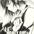 HONEY CATs
