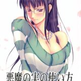 悪魔の実の使い方