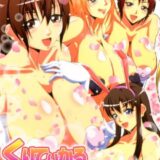 DOA5の女性キャラ総出演のハーレム本