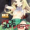 PileBunker!!