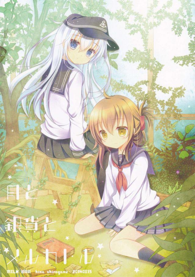 月と銀貨とメルカトル