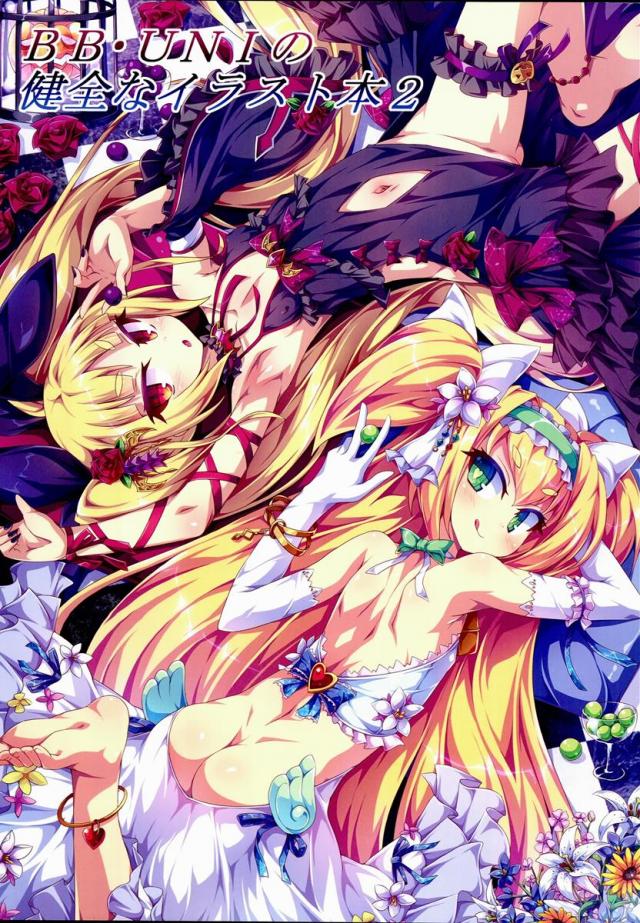 BB・UNIの健全なイラスト本2