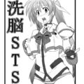 洗脳STS