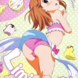 Limitter 2016 SHT spring