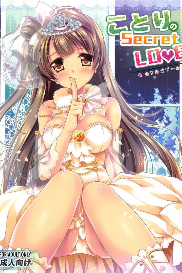 南ことりとの実用度バツグンなイチャラブエッチをカラーで!!