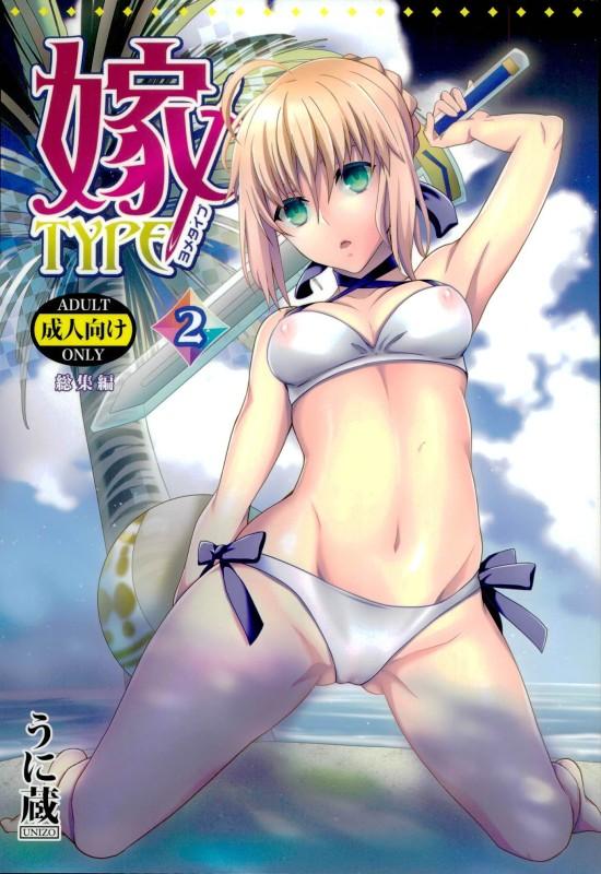 2013~2014年のセイバー本総集編