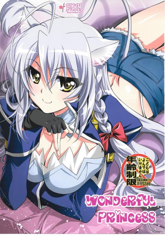 レオ閣下初エッチ本