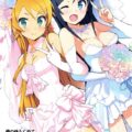113ページ全編ふるーからー美麗総集本