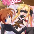 ロリ変態ドMっ娘フェイトがなのはに責められる変態本