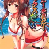 ビキニ大和と色んな体位で