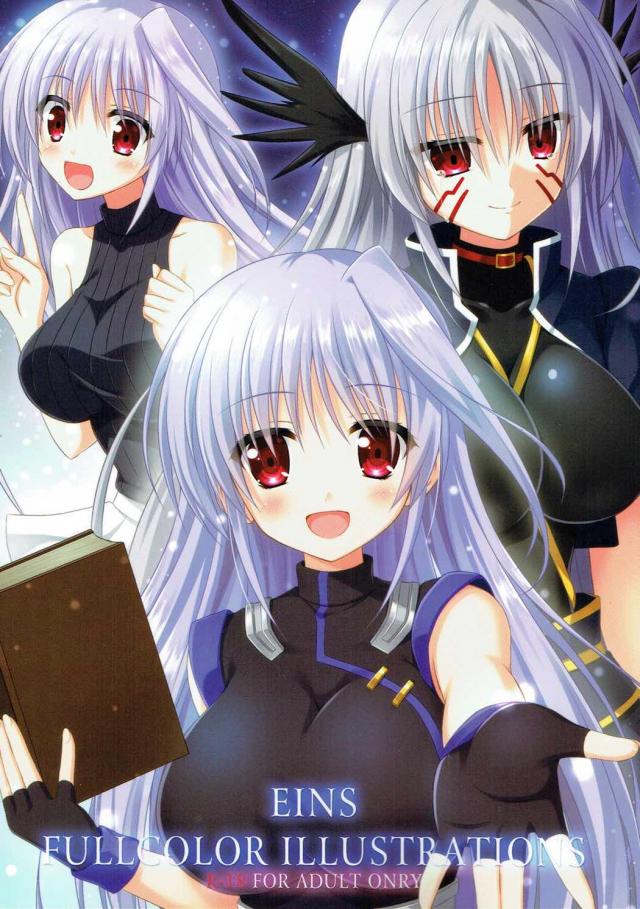 アインスふるーからー本