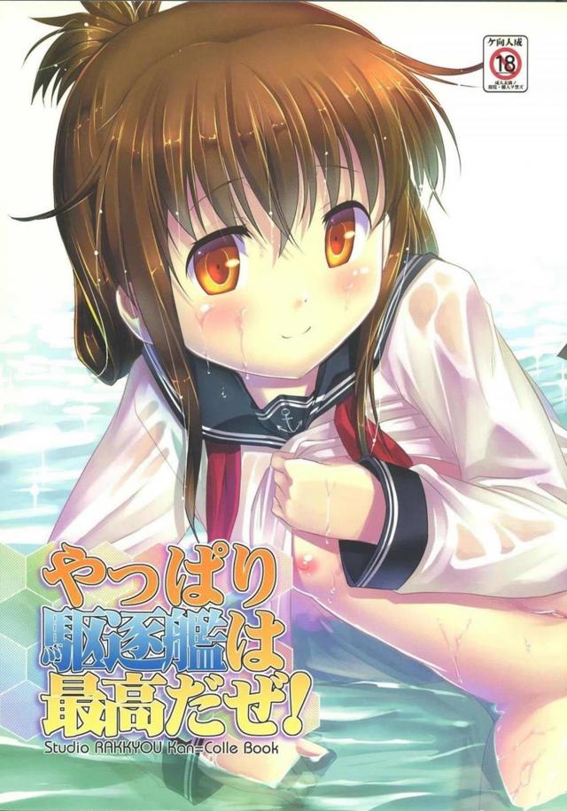 控えめな電ちゃんがカワイイので子作りします。