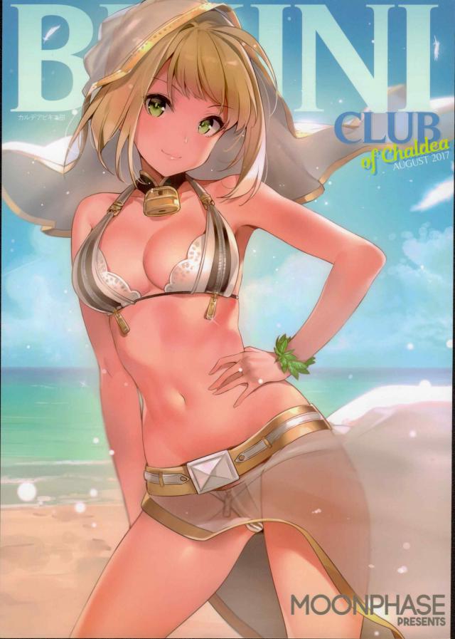 FGOヒロイン達の「ビキニ」非エロ美麗フルカラーイラスト集