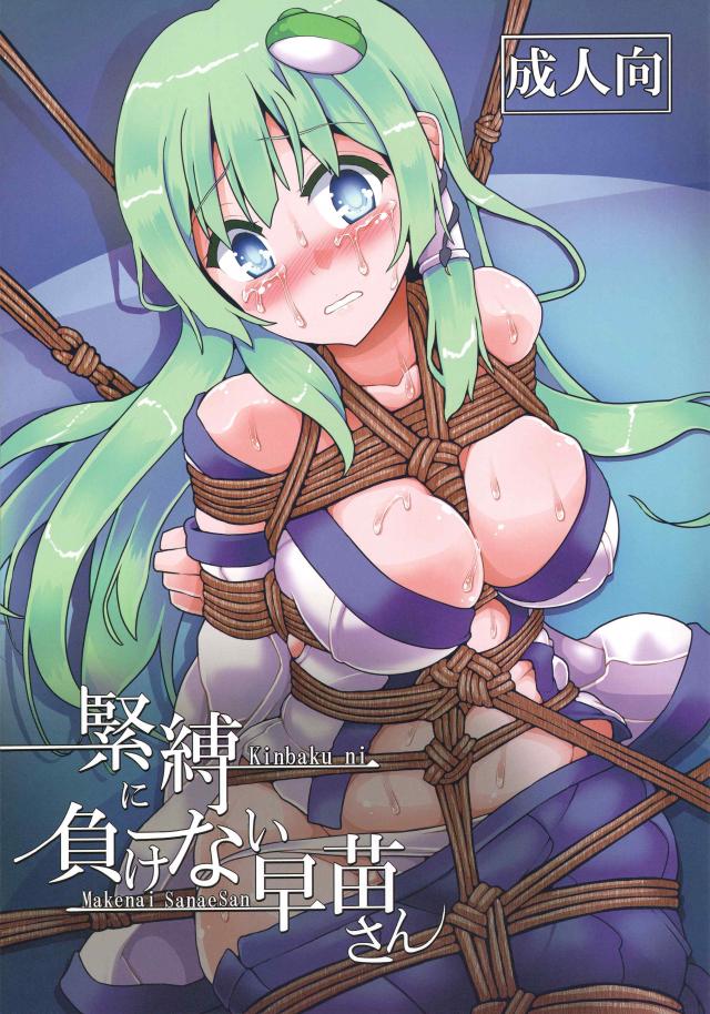 早苗さんの緊縛陵辱ふるーからーイラスト本
