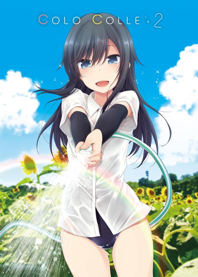 夏・海・水着をテーマにした貧乳艦娘たちの非エロ美麗ふるーからーイラスト本