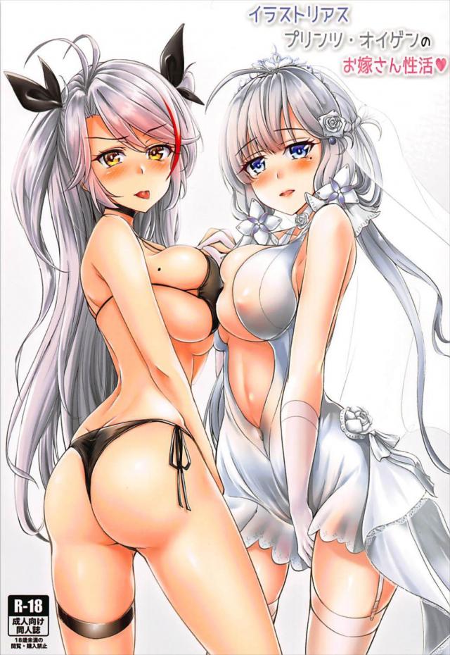 イラストリアスとプリンツとのご奉仕共同性活