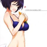 [C93]ブレイブウィッチーズふるからーイラスト集