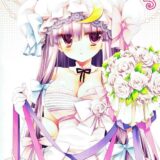 カラー漫画も含めたパチュリーばっかり総集本