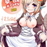 色々なモンスター娘に抜いてもらう本