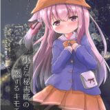 如月とさよなら背面座位