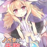 無知処女魔法使いの苦難