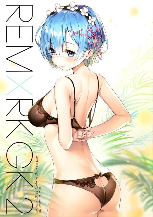 レムの美体がまぶしい！美麗フルカラーイラスト集