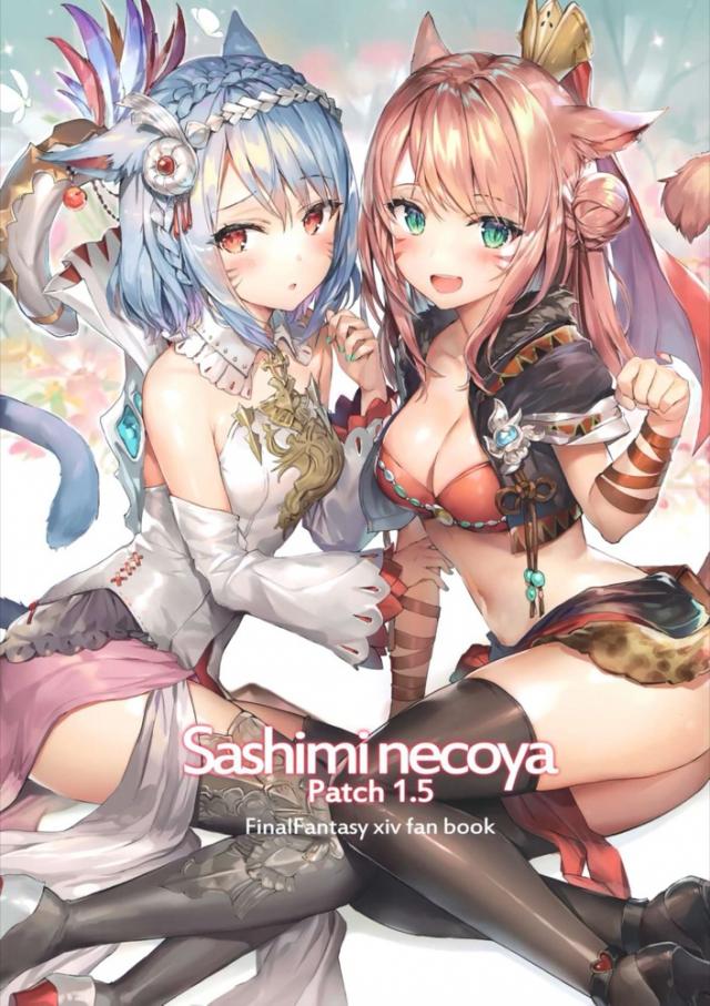 [非エロ]FF14フルカラーイラスト集[C95]