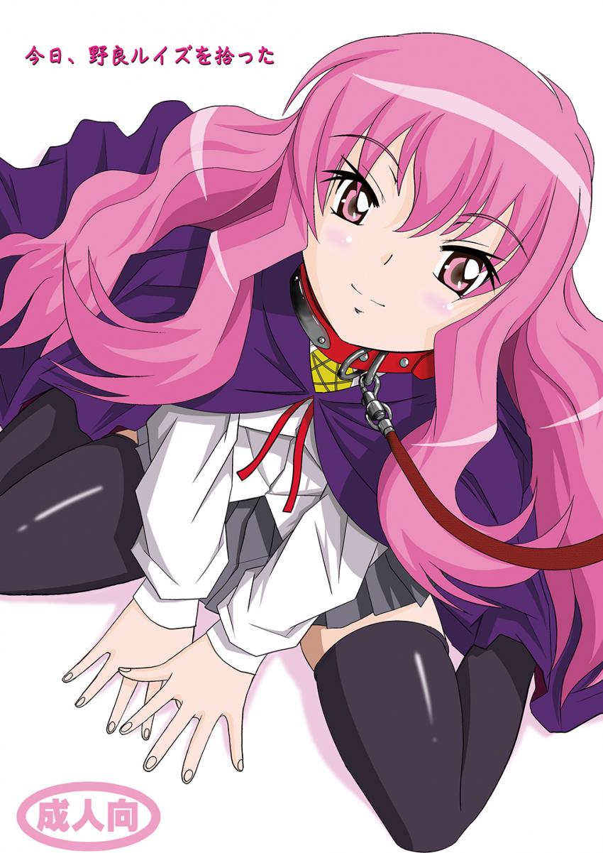 段ボールに入った野良ルイズを拾い自宅に連れ帰った男。まずは汚れた体を洗うため風呂に入れてやり彼女のお世話生活が始まる。(お仕置き・アナル・中出し・コスプレ・露出散歩・妊婦)