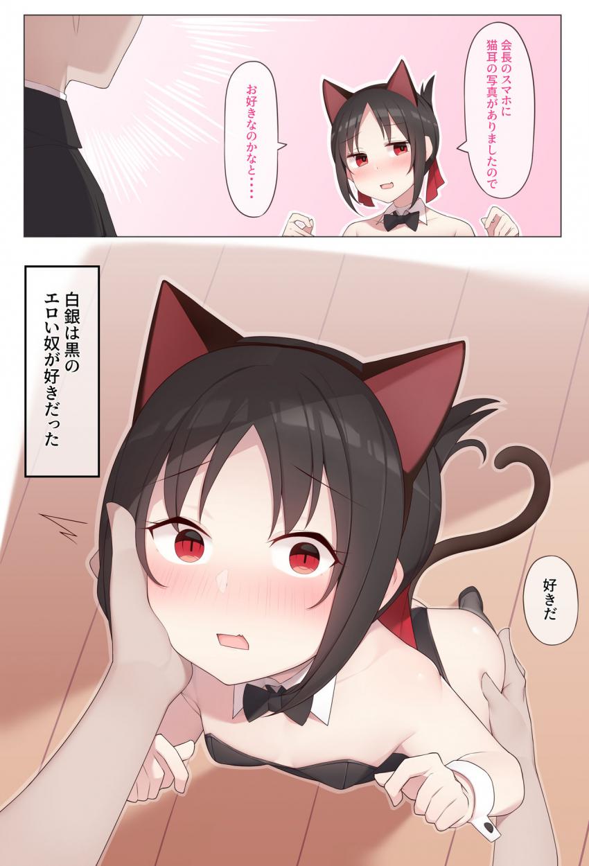 猫耳アナルしっぽの四宮かぐやと即ハメ生中出し！