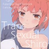 【女性向け】女体化した衛宮士郎とランサーの魔力補給