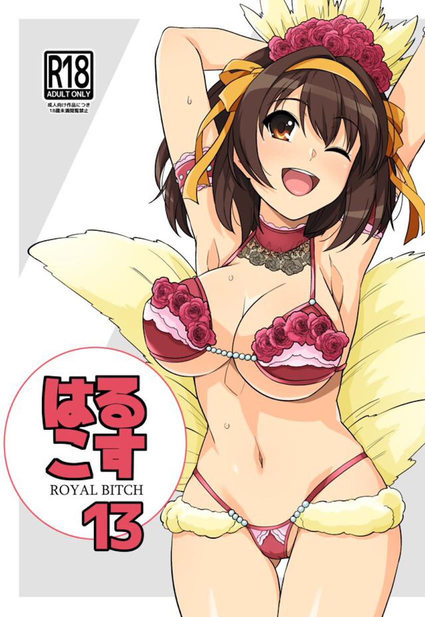 涼宮ハルヒのエロコス☆フルカラーイラスト集第13弾！大ボリューム169p！