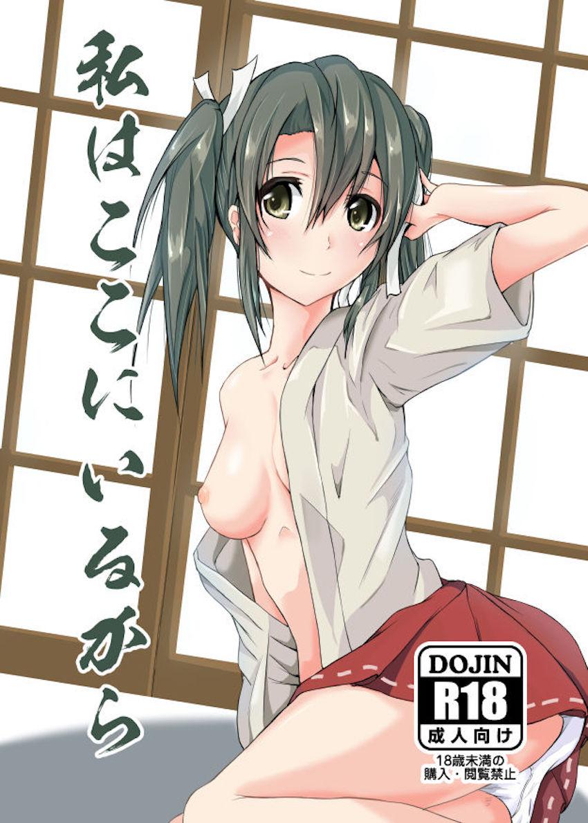 恋仲だった翔鶴がいなくなり落ち込み提督を瑞鶴が癒す。
