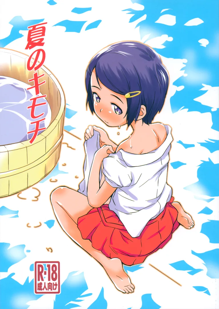 (C104) [ステータスどく (いさわのーり)] 夏のキモチ (オリジナル)